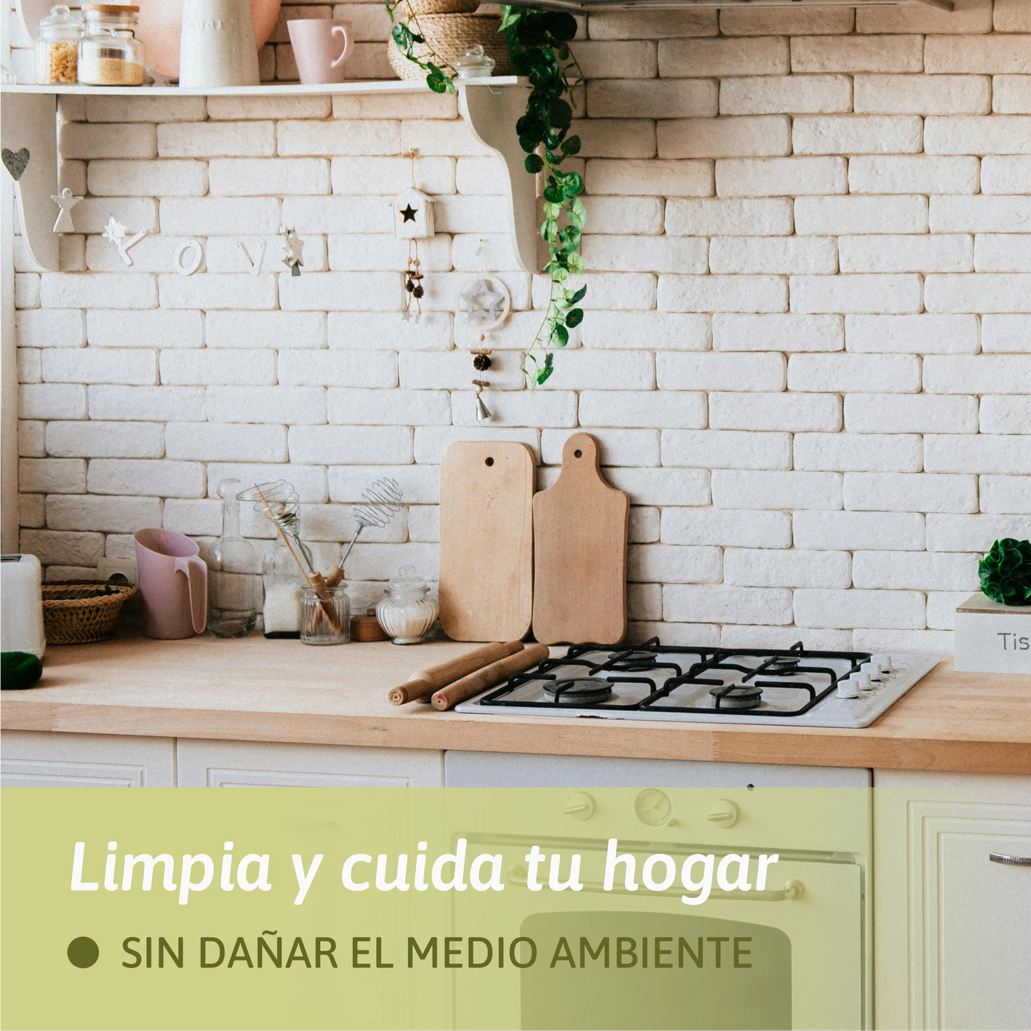 Recarga tu Ácido Cítrico - 500gr