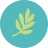 Lavanda