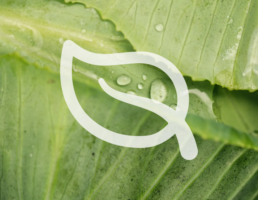 Vegano y biodegradable