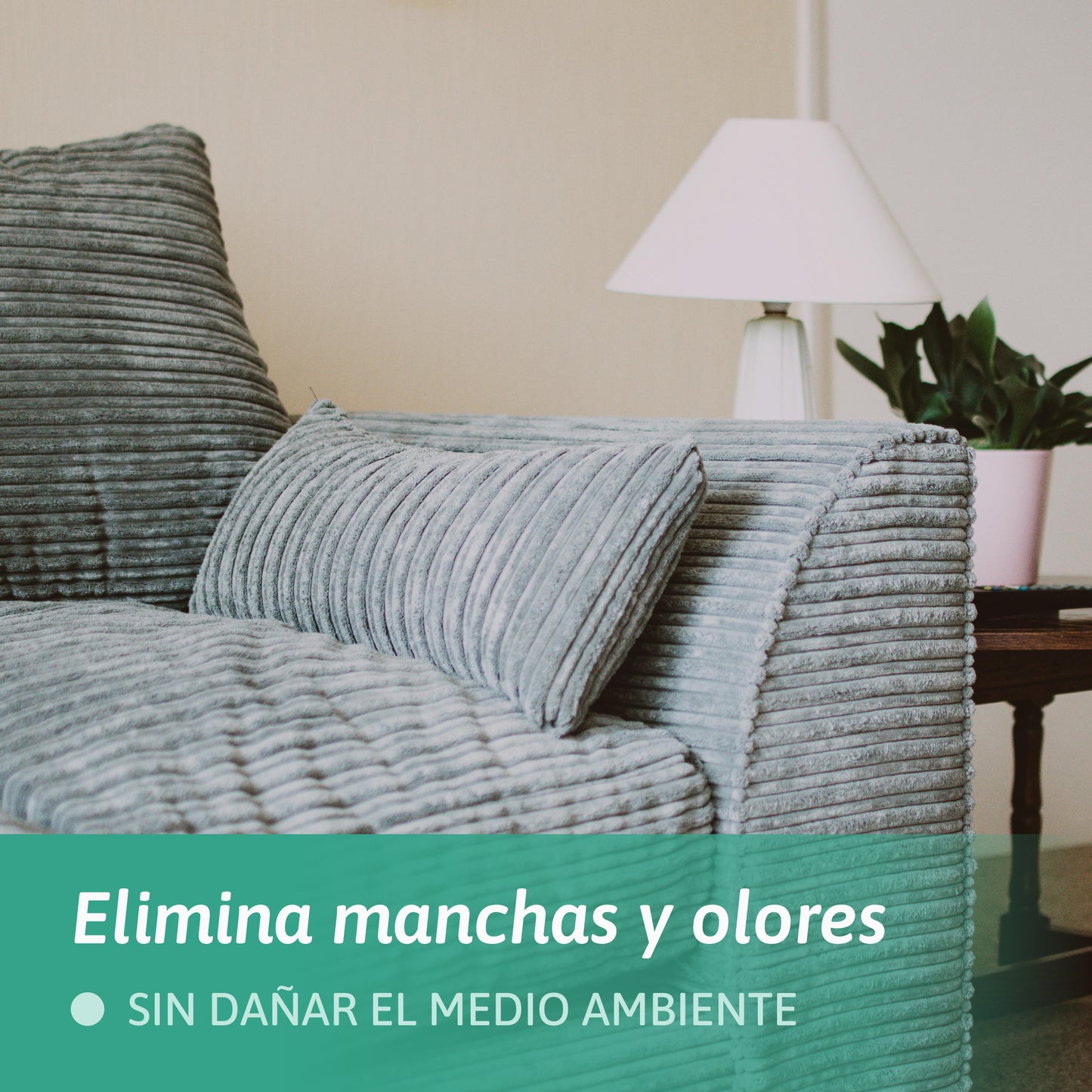 Tierras de Sommières - Limpiador en Seco